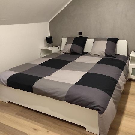 Apartamento Le Business, Duplex Moderne Special Pro De Passage Sarreguemines Exterior foto