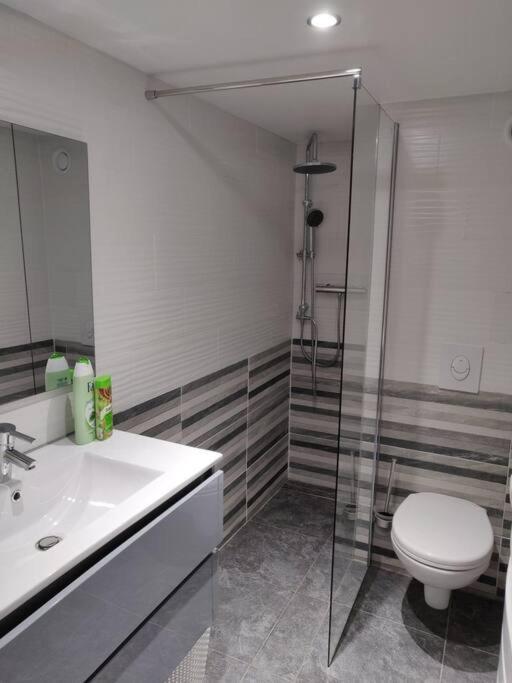 Apartamento Le Business, Duplex Moderne Special Pro De Passage Sarreguemines Exterior foto